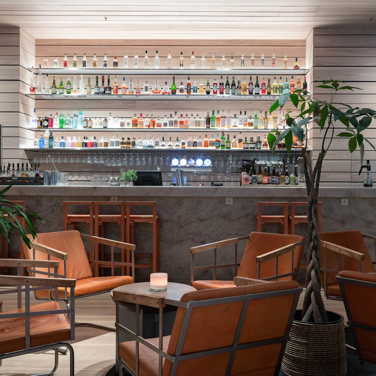 Bar with shelves of liquor bottles, providing seating with orange leather chairs around tables, surrounded by modern wood paneling and indoor plants. Chalkboard reads: "Signature Cocktails, Gin Tonic, Rattle, Aniera".  
