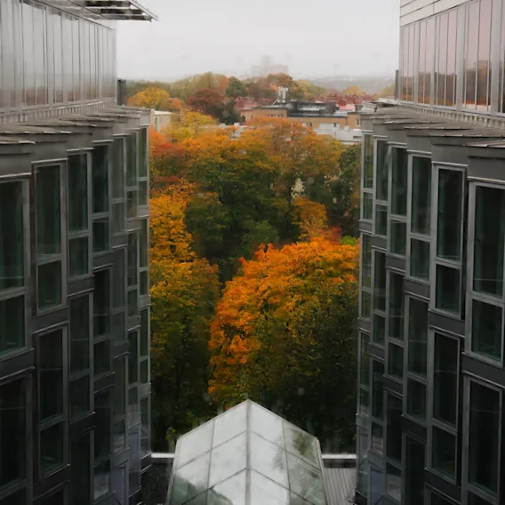 Näkymä modernien rakennusten välistä, jossa syksyisiä puita ja lasikattorakenne pilvisen taivaan alla.