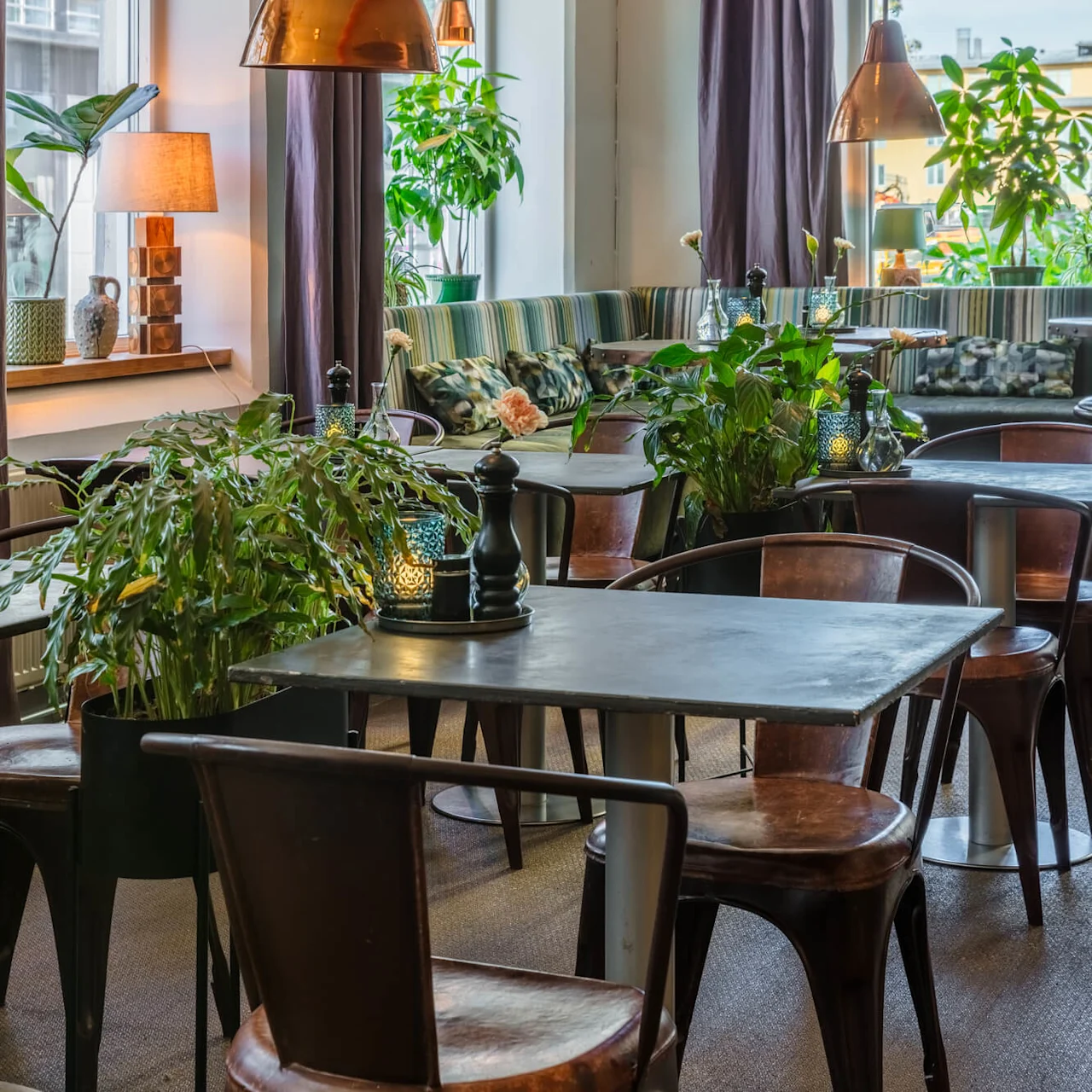 Wooden tables and chairs with potted plants in a cozy cafe setting, large windows provide natural light.