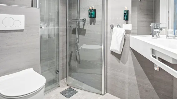 A modern bathroom features a toilet, glass-walled shower, and a sink with a large mirror.