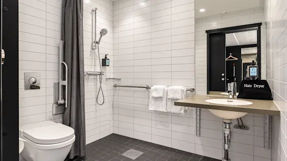 Modern accessible bathroom featuring a roll-in shower, toilet, and sink.