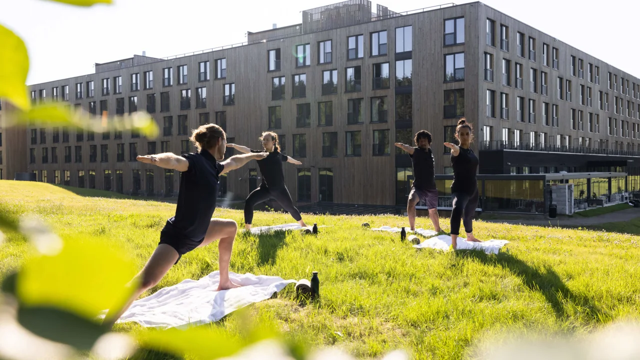 Personer dyrker motion sammen på en græsplæne foran moderne bygninger, laver yoga eller lignende strækøvelser i sollys.