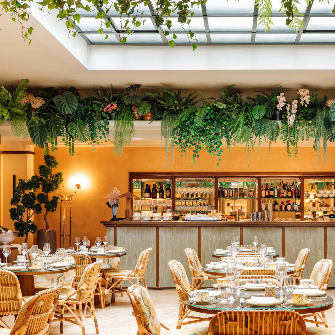 Rattanstole og borde med hvide duge fylder en varmt belyst restaurant med bar og ovenlys, omgivet af frodig grønt.