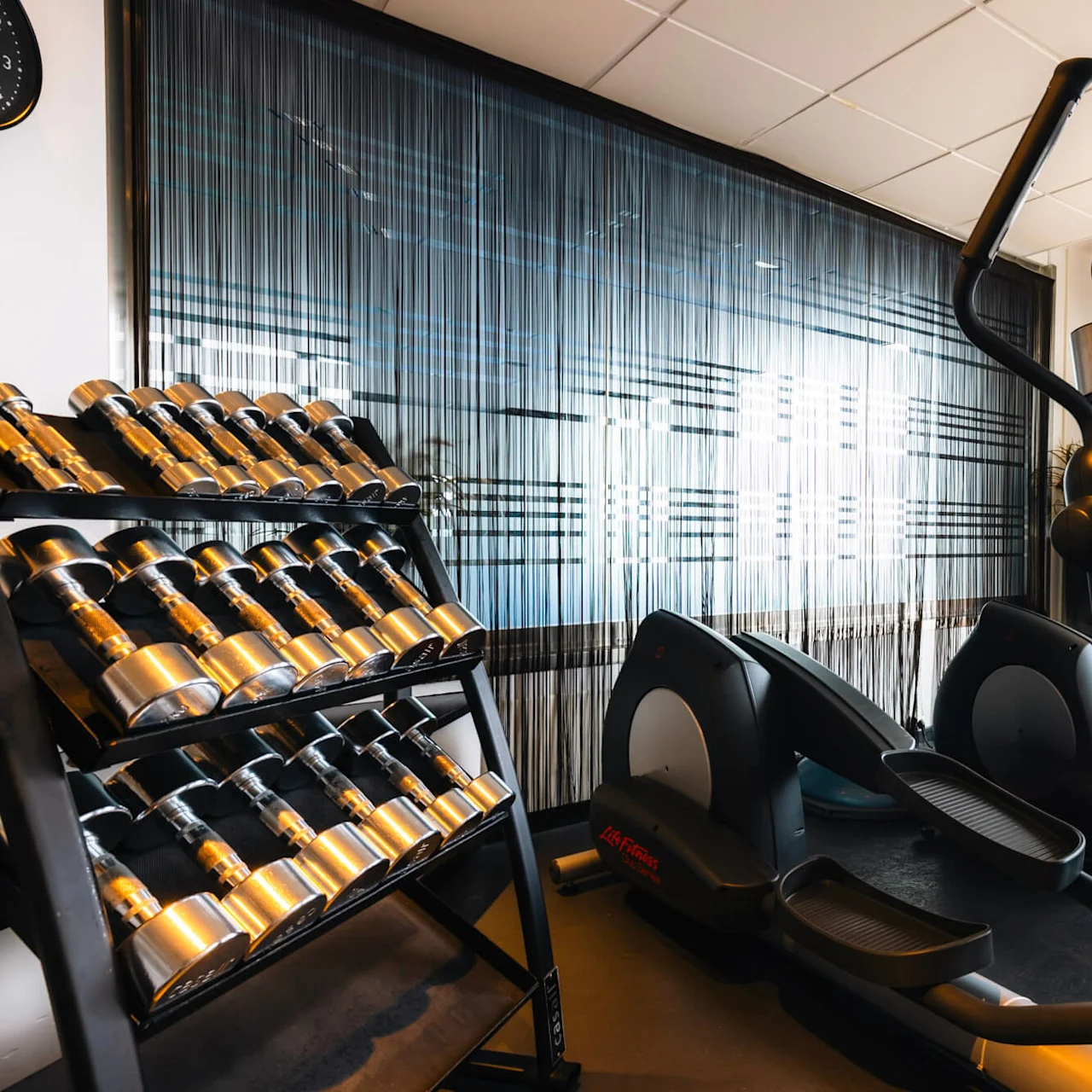 Hantlar är prydligt arrangerade på ett ställ bredvid en crosstrainer i ett modernt gym, med naturligt ljus som strömmar in genom stora fönster.
