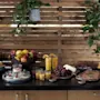 En färgstark buffé med färsk frukt, bakverk, juicer och salta rätter, uppdukad mot en varm träbakgrund.