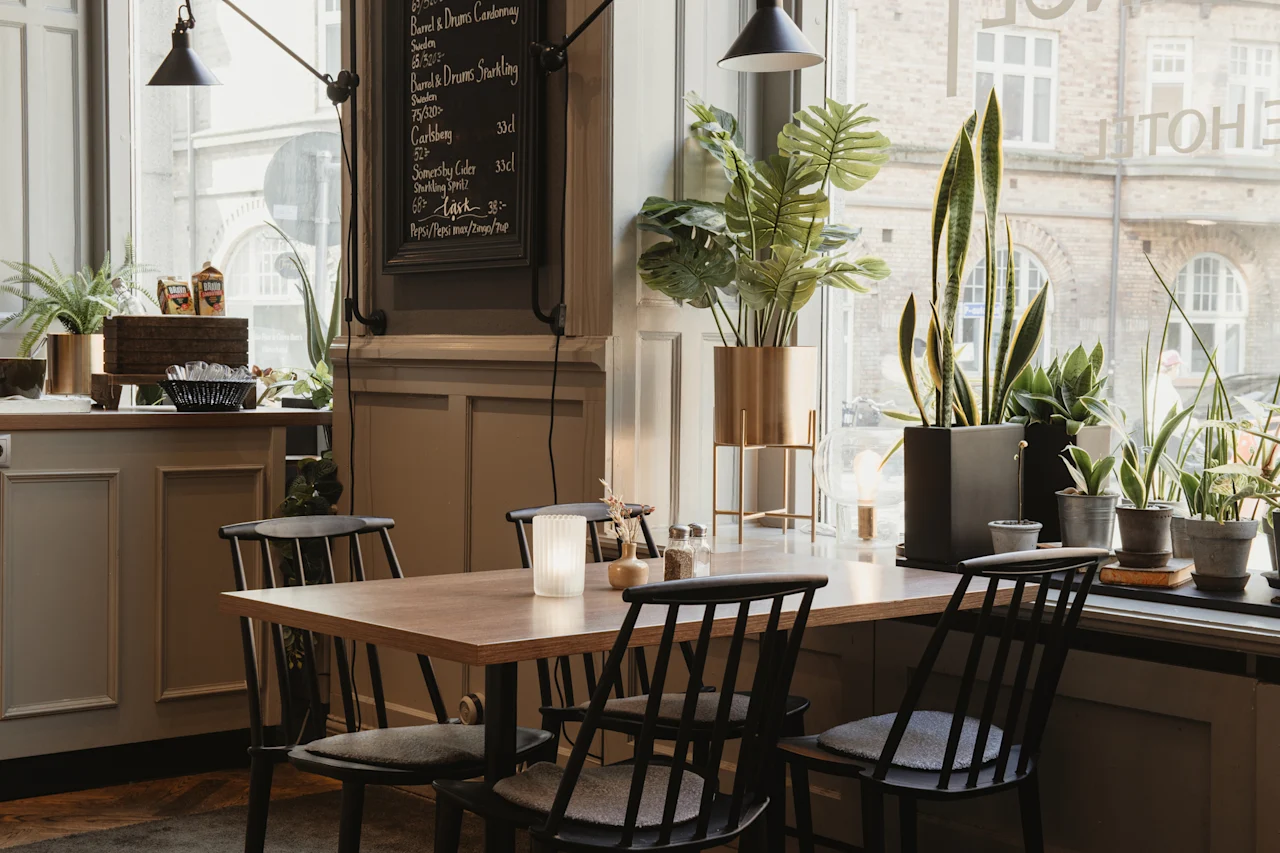 En koselig kafé med bord, stoler og planter ved et vindu. Menytavle med drikke og priser. Tekst: Barel and Drums, Cider, Drinks, TOHE.