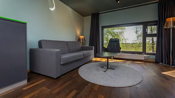 Gray sofa and chair are situated in a modern living room, accompanied by a round coffee table on a circular rug. Large window offers a view of lush greenery.