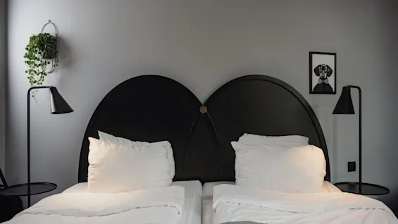 Två enkelsängar med vita sängkläder och svarta, halvcirkelformade sänggavlar under en grå vägg; växter och lampor finns på varje sida, med en liten inramad bild ovanför den högra lampan.