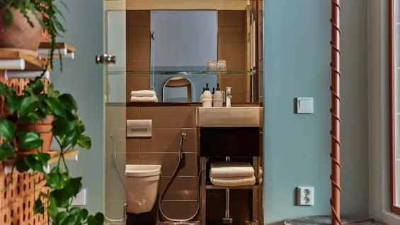 A modern hotel bathroom with a sink, mirror, toilet, and lush green plants on a wooden shelf.