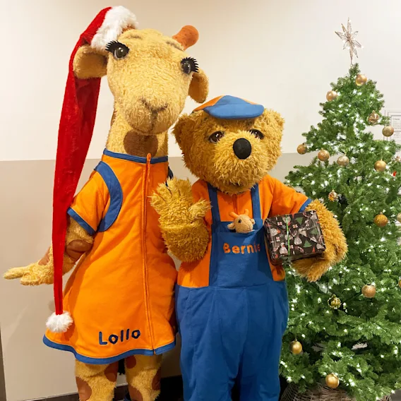 Lollo og Bernie star ved siden av et pyntet juletre og feirer jul