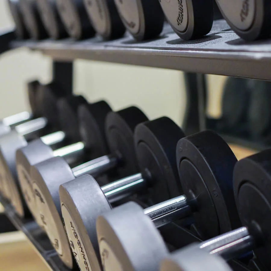 Hantlar vilande på ett horisontellt ställ i ett gym. Varje vikt är märkt med "Technogym" och arrangeras snyggt i ökande storlek.