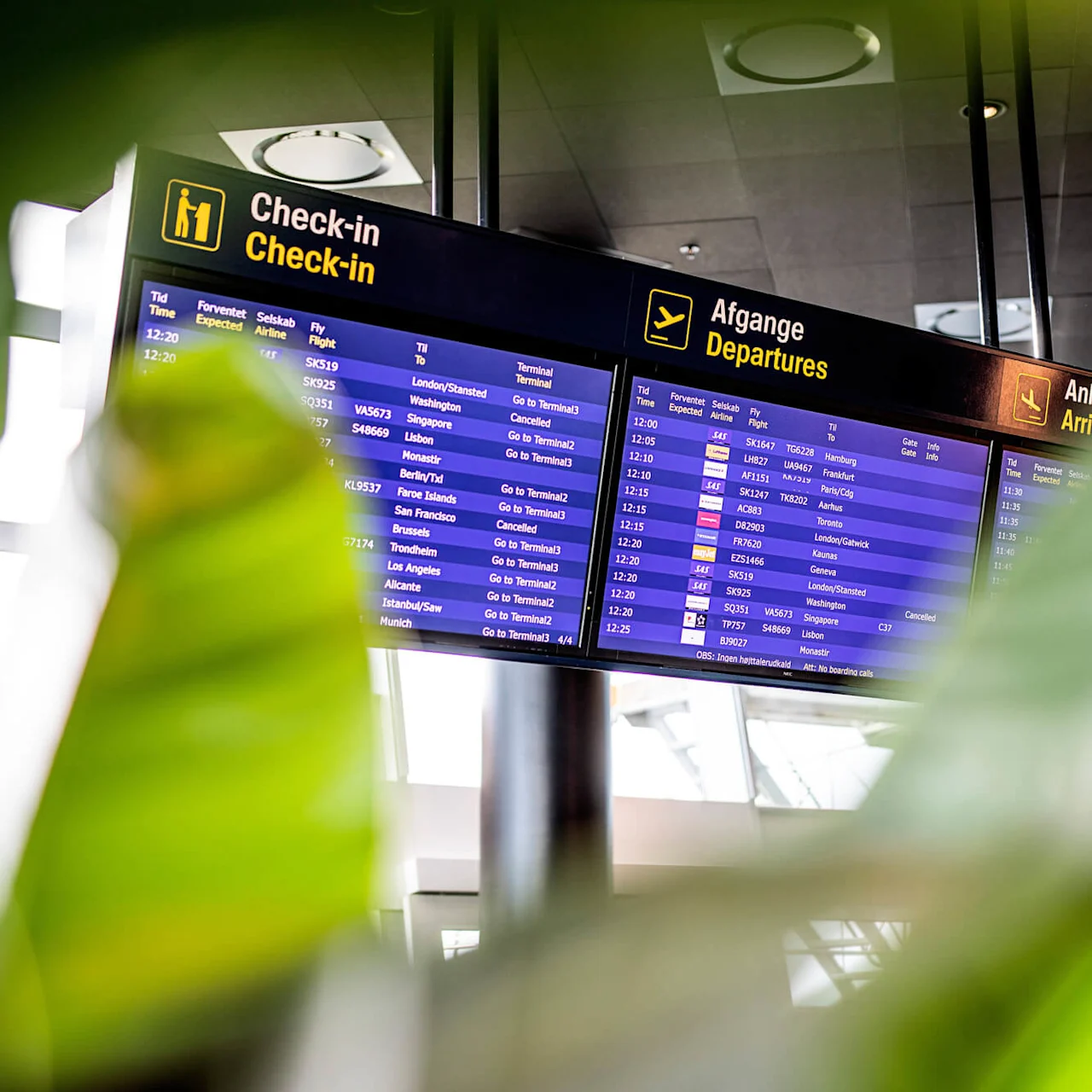 Check-in, afgange og ankomstskærme viser flyinformation i en lufthavn, omgivet af lysegrønt løv. Fly til London og Washington er planlagt; Singapore-flyet er aflyst.