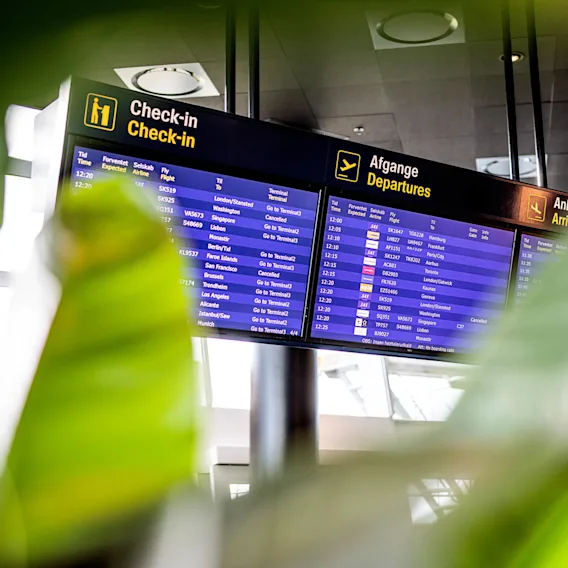 Inchekning-, avgångs- och ankomstskärmar visar flyginformation på en flygplats omgiven av ljusgrönt lövverk. Flyg till London och Washington är planerade; Singaporeflyget är inställt.