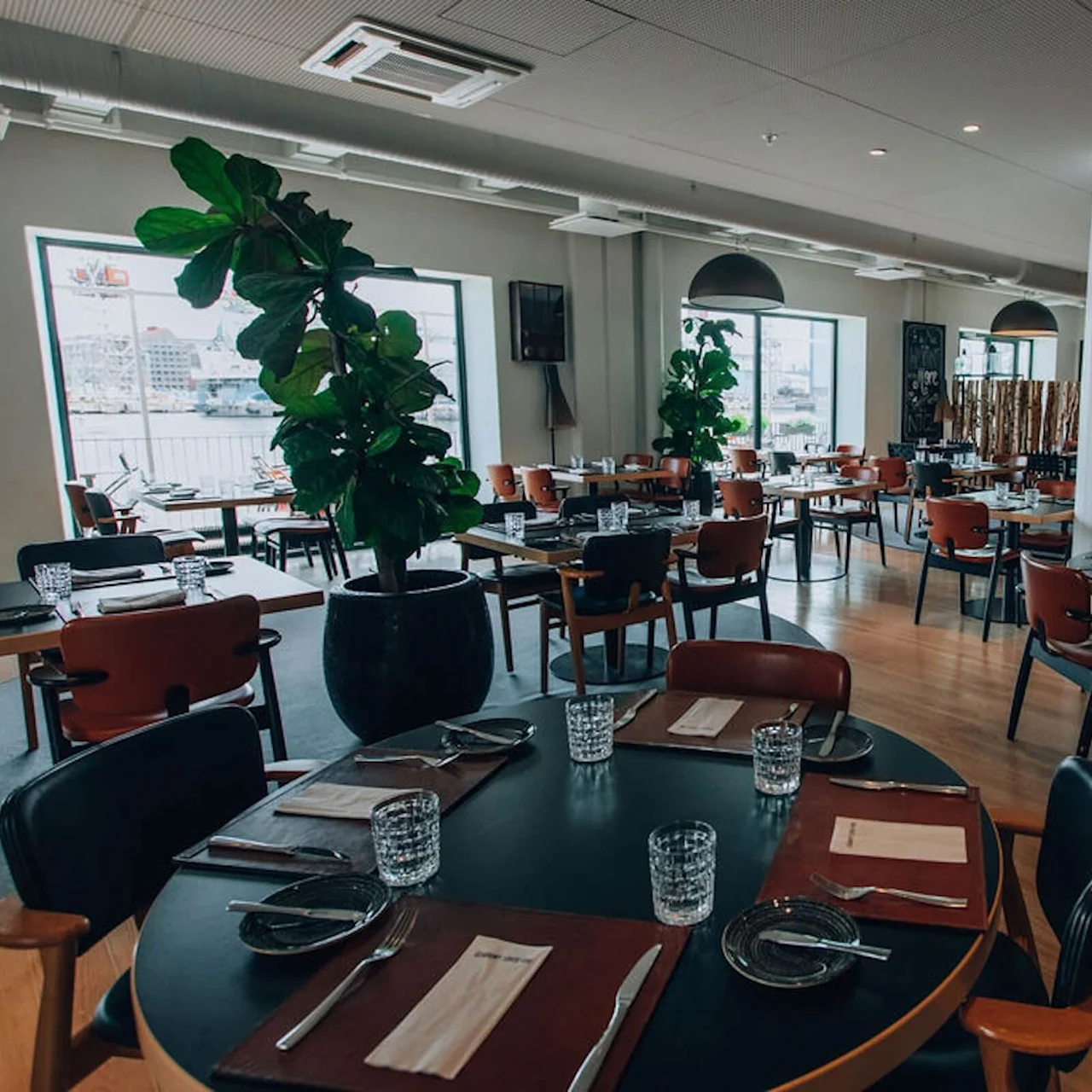 Bordene er pænt dækket med bestik og glas i en rummelig restaurant med trægulv og store grønne planter nær vinduer.