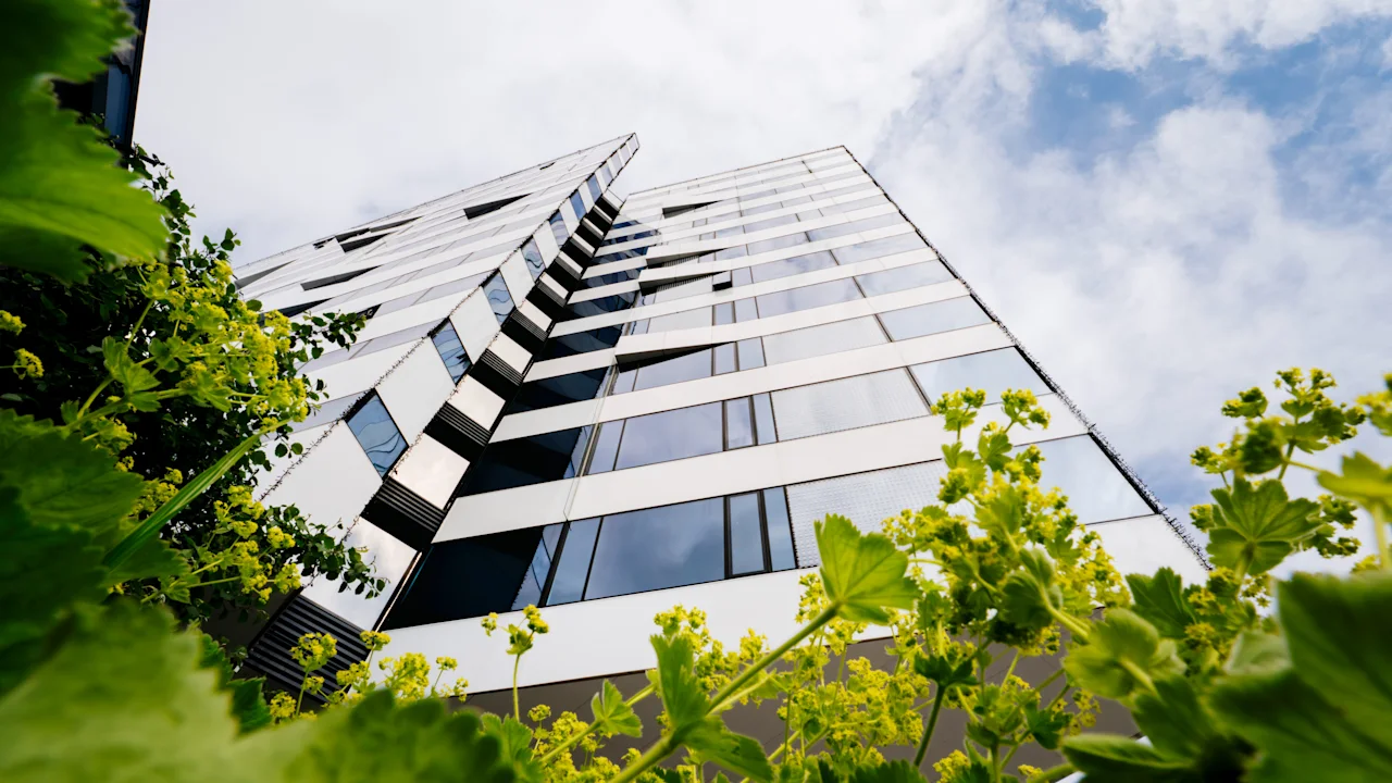 A tall, modern building with reflective windows reaches towards a cloudy sky. Green plants with yellow flowers are in the foreground, creating a contrast.