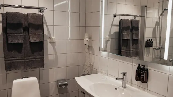 Ett väl upplyst, modernt badrum med handfat, toalett och duschplats, med fräscha handdukar och nödvändiga bekvämligheter.