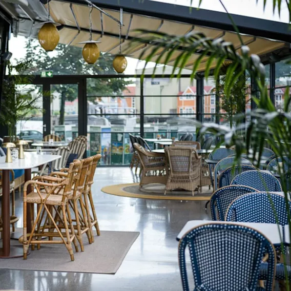 En tom kaféterrasse med flettede stoler og bord, omgitt av potteplanter, under hengende lanterner.