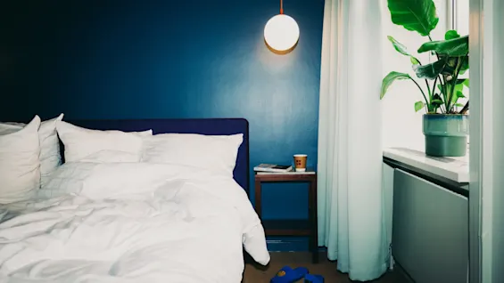 Viihtyisä hotellihuone, jossa on sijattu sänky, tummansininen seinä, yöpöytä ja vihreä kasvi ikkunalaudalla.
