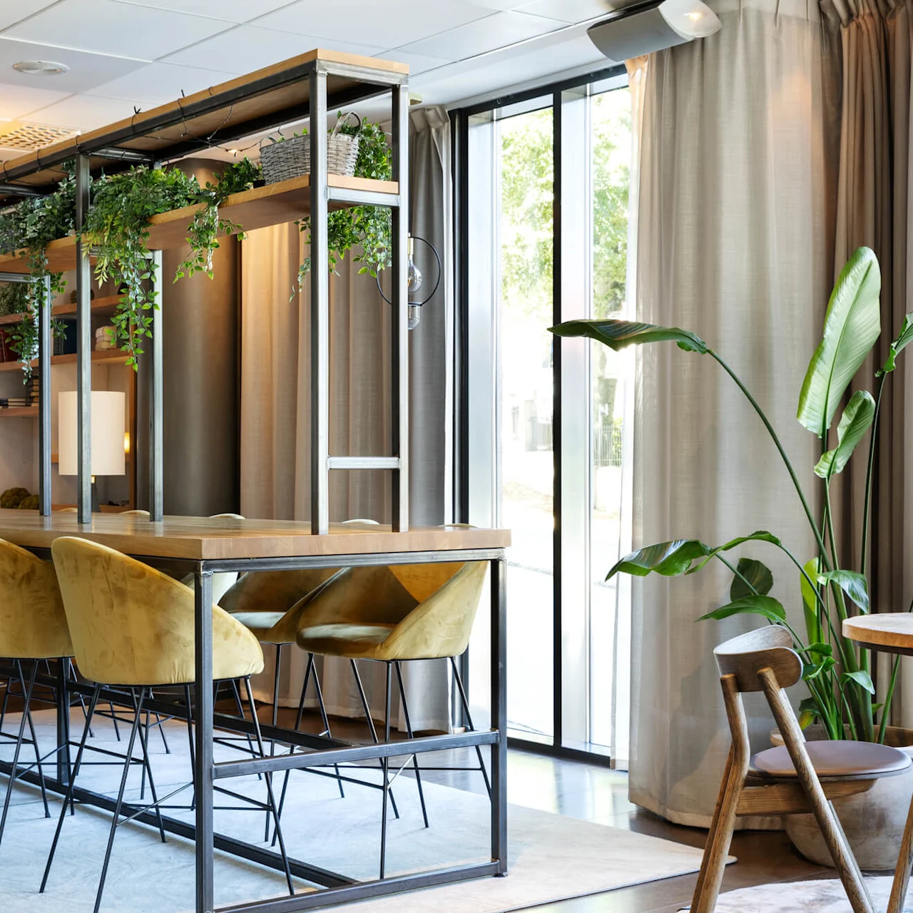 A long wooden table with yellow chairs stands in a bright room, adorned with hanging green plants and shelves, next to tall windows with flowing curtains and a large potted plant.