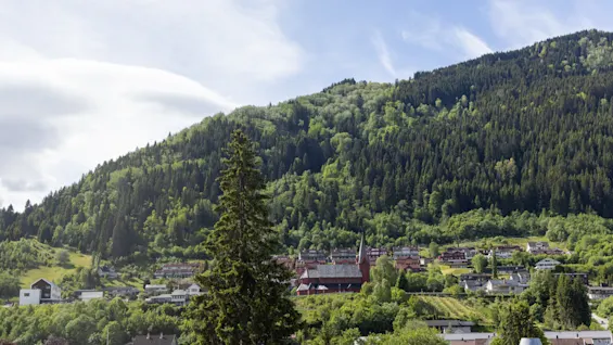 Ett träd står högt mot en grön kulle med hus vid foten, under en blå himmel med moln.