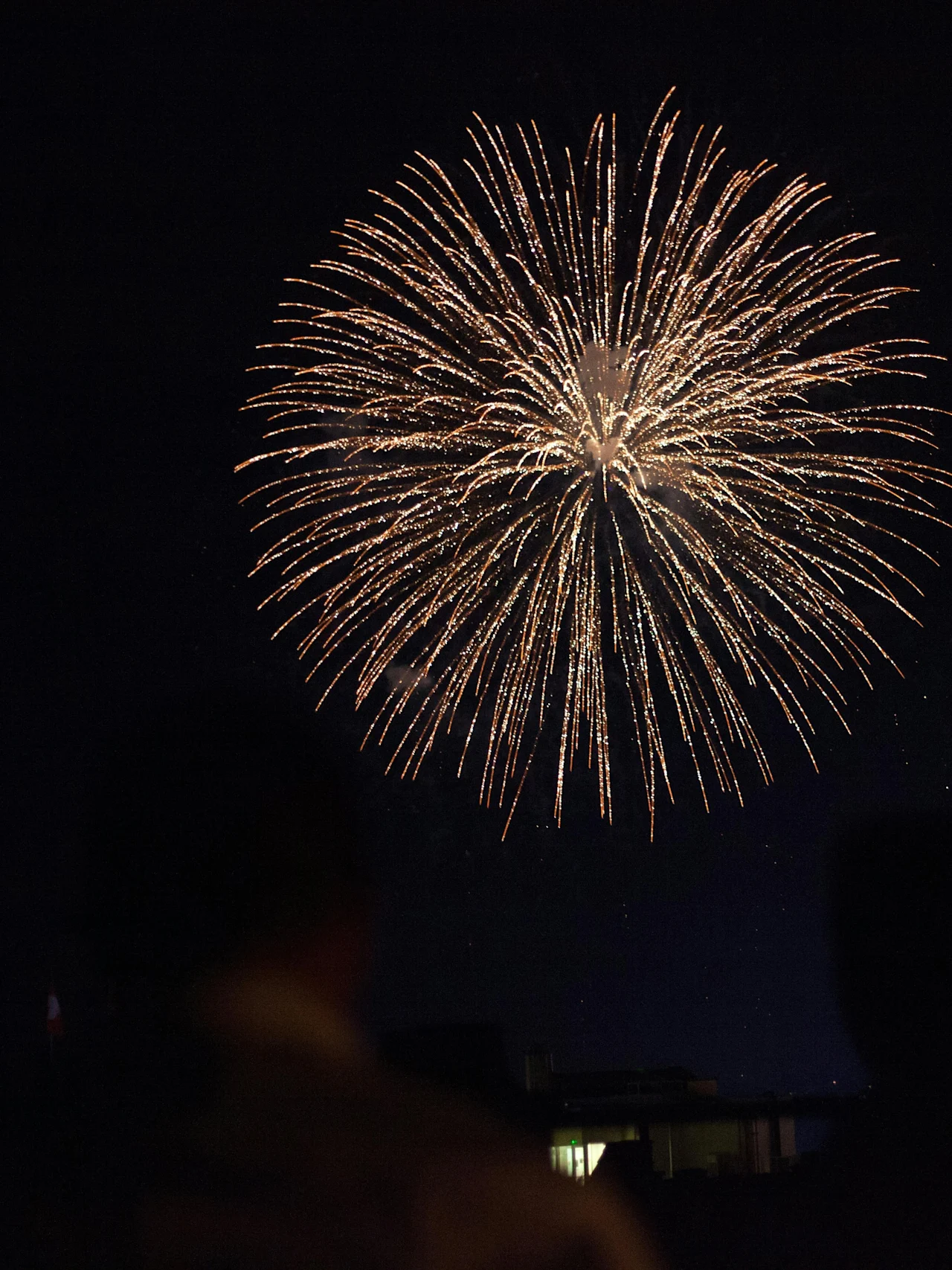 Fireworks burst in the night sky, radiating golden sparks outwards. Silhouettes of onlookers are visible in the foreground, watching from a darkened area.