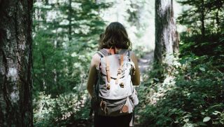 Hiking in nature. Photo: Jake Melara, Unsplash