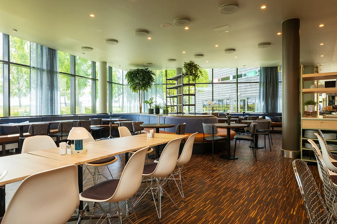 Rymligt café med moderna bord och samtida stolar; stora fönster visar en naturskön utsikt utomhus, medan hängande växter och hyllor ger grönska och organisation.