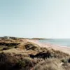 En sandstrand sträcker sig längs havet, omgiven av gräsklädda dyner under en klar himmel. Människor promenerar och solar längs strandlinjen.