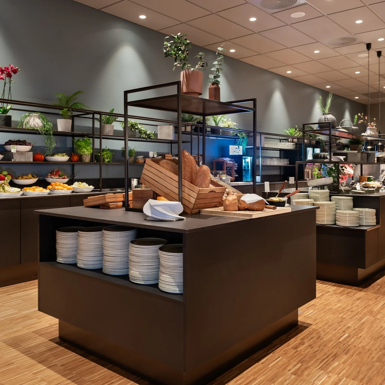 Et buffetbord har et utvalg av brød og frukt, omgitt av potteplanter på hyller. Settingen er en godt opplyst, moderne kafeteria med tregulv.