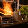 Koselig scene med en peis, bøker som 'Hundre og ån dag', 'Begynnelser', 'menhetens pris', en vase og en grønn plante.