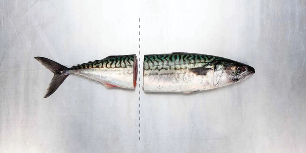 matsvinn-fish.jpg