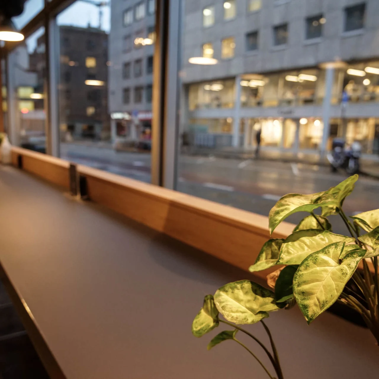 A long table with a plant sits near large windows showing a city street with buildings. 