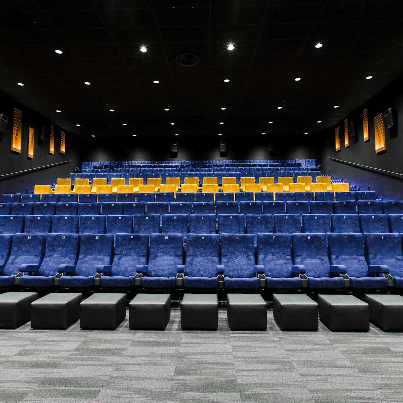 Rows of blue and yellow cinema seats are empty, facing a screen. The theater is dimly lit with patterned carpeting and framed acoustic panels on dark walls.