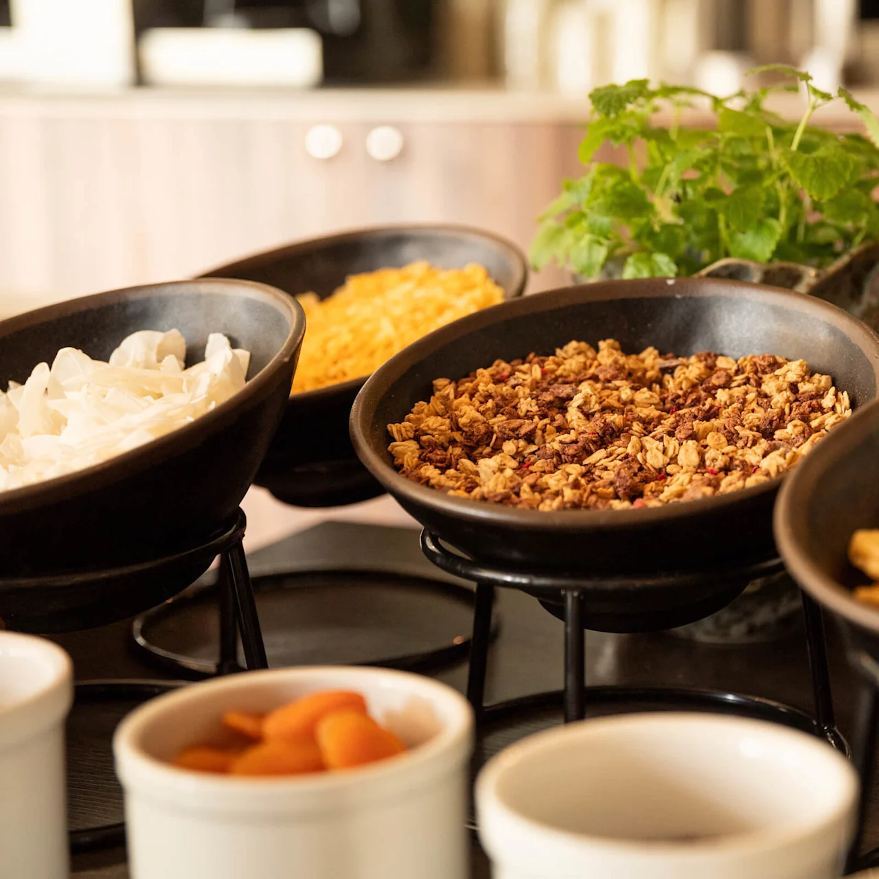 Skålar innehåller olika frukostflingor och torkad frukt, inklusive granola och bananchips, presenterade på ställ med en grön krukväxt i bakgrunden på en trädisk.
