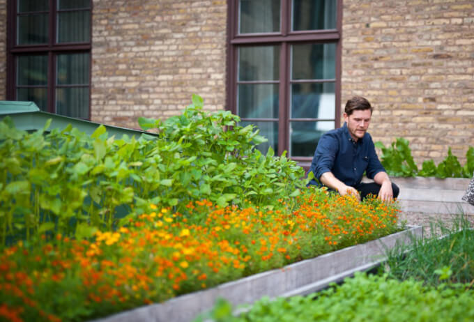 Garden at the roof of Clarion Hotel Post