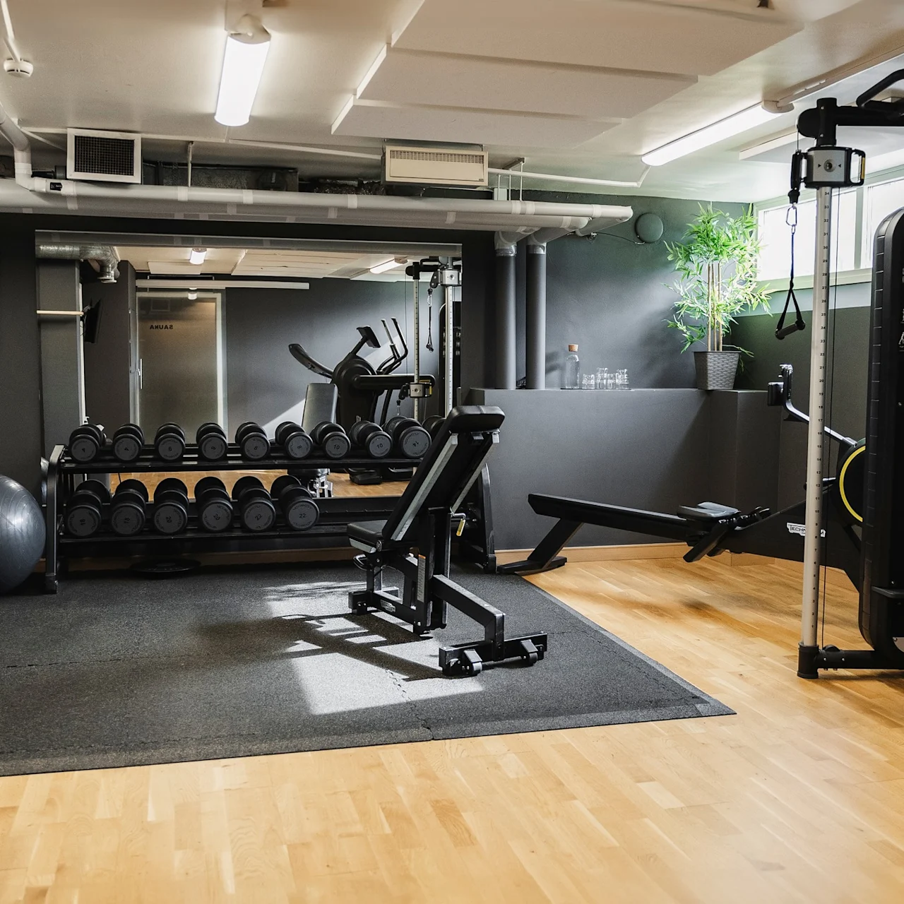 Ett gym med viktställ, träningsmaskiner, en yogaboll och en växt i ett ljust rum med trägolv. En affisch visar fötter i röda skor.