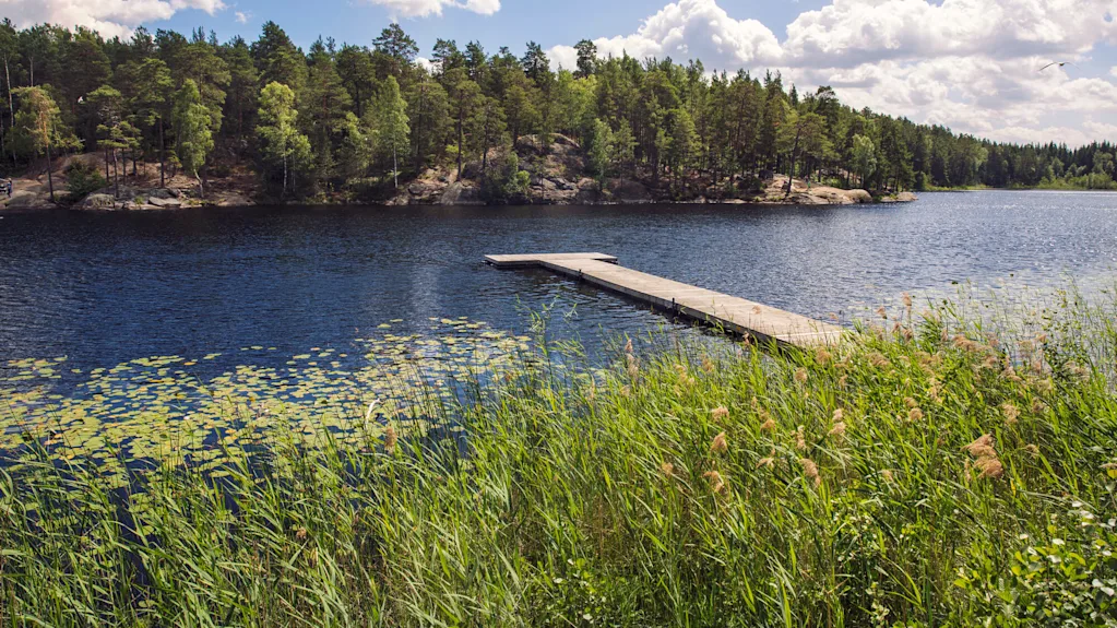 En brygga av trä sträcker sig ut i en lugn sjö omgiven av frodiga gröna skogar under en delvis molnig himmel. Vass och näckrosor pryder vattenkanten.