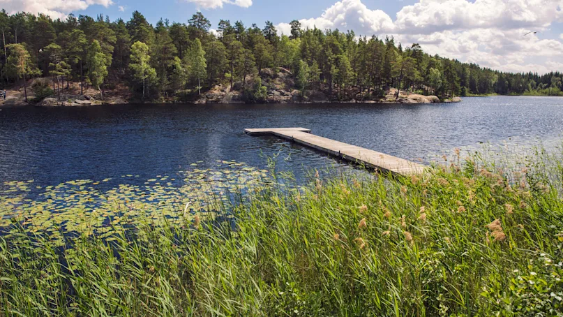 A wooden dock extends into a tranquil lake surrounded by lush green forests under a partly cloudy sky. Reeds and lily pads dot the water’s edge.