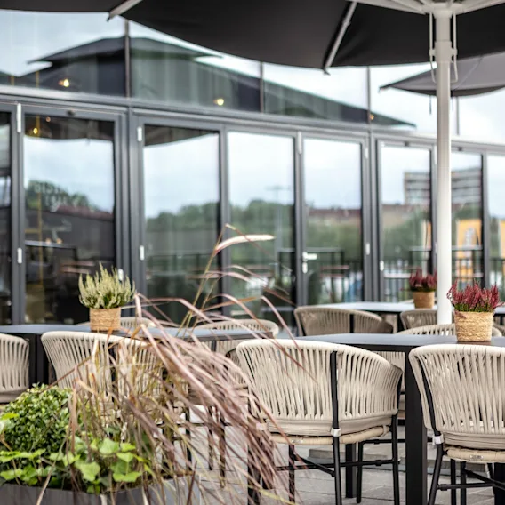 Kurvstoler er arrangert rundt bord pyntet med potteplanter, under store parasoller, på en terrasse utenfor en bygning med glassdører.
