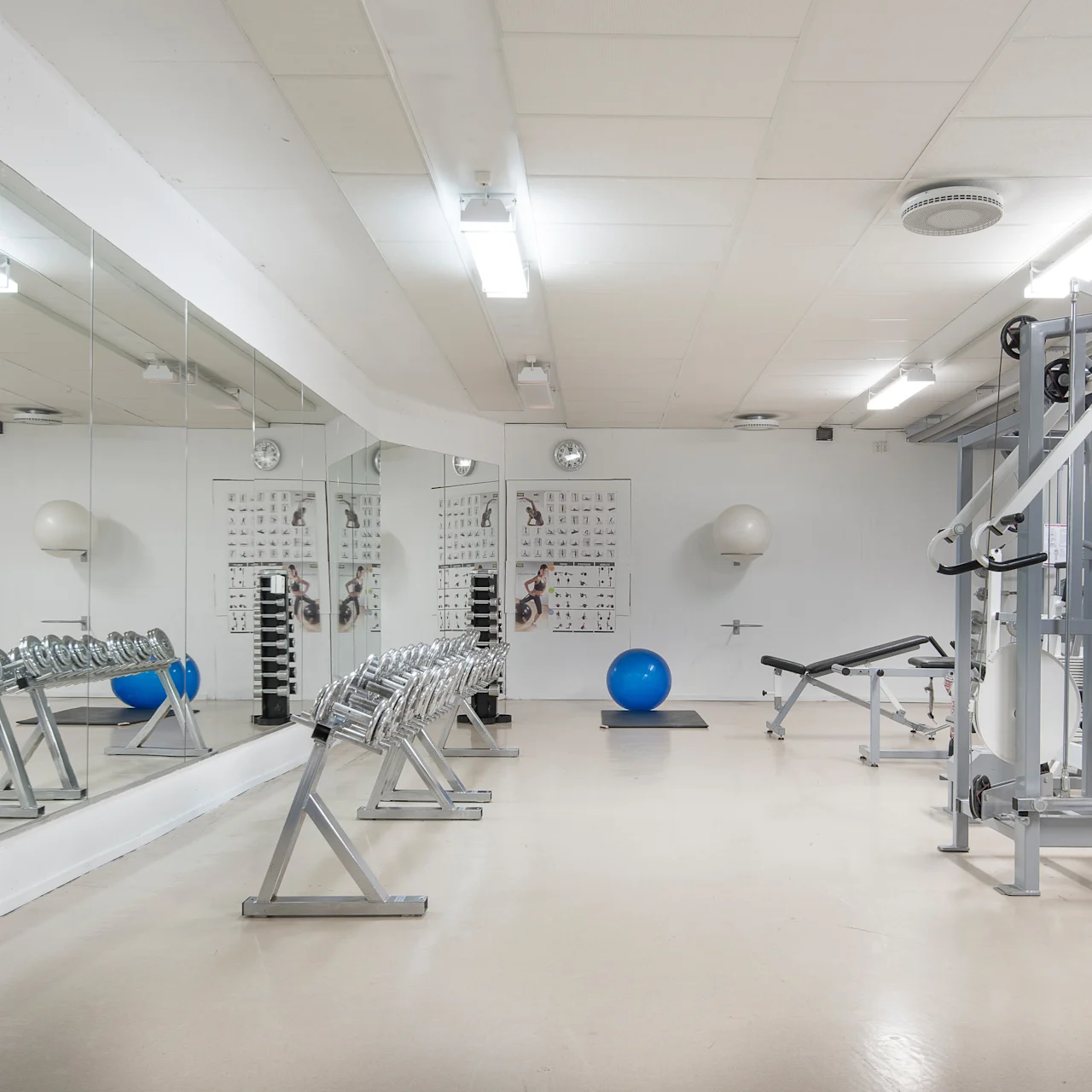 Hantler langs en speilvegg; treningsutstyr inkluderer en kabelmaskin, benk og blå treningsball. Lysbelyst, treningsstudio med hvite vegger og beige gulv.