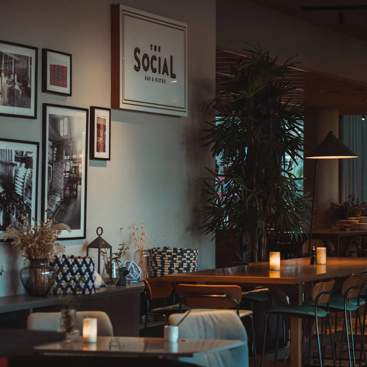 Ett varmt upplyst café har träbord med ljus och höga stolar, omgiven av växter och väggkonst. En skylt lyder: "THE SOCIAL BAR & BISTRO".