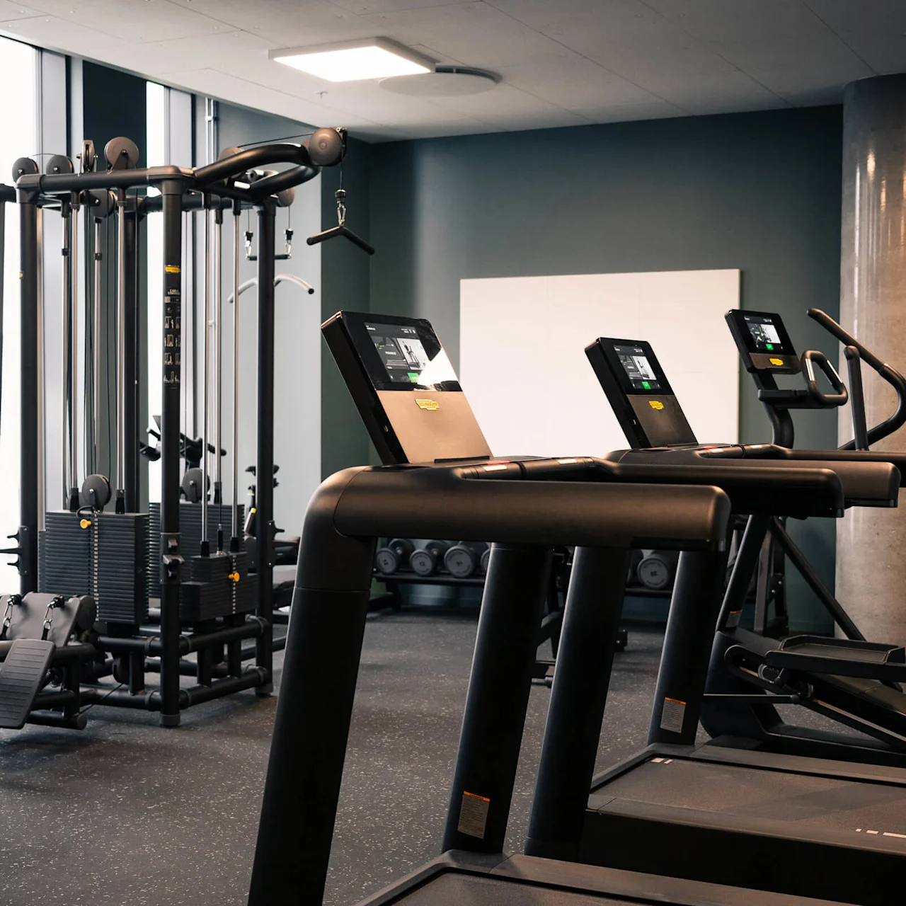 Treadmills are lined up, facing a dark wall, in a modern gym with a multi-functional cable machine and free weights area.