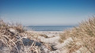 MTRX sanddyner på svenska västkusten