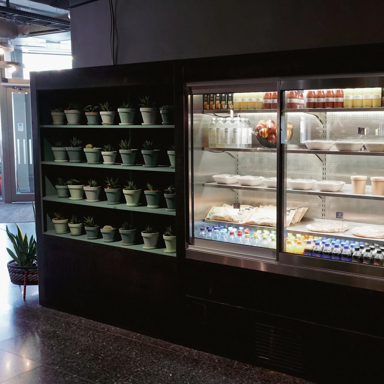 A food display with plants on shelves, refrigerated section with beverages and sandwiches, and snacks on the right, in an indoor setting.