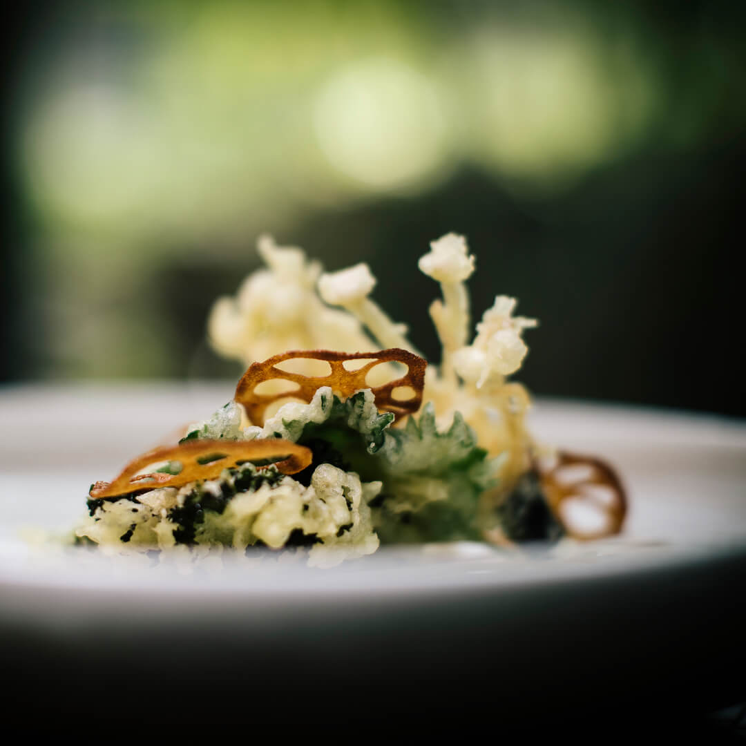 Gourmet-annos tarjoillaan valkoisella lautasella sumean vihreää taustaa vasten.