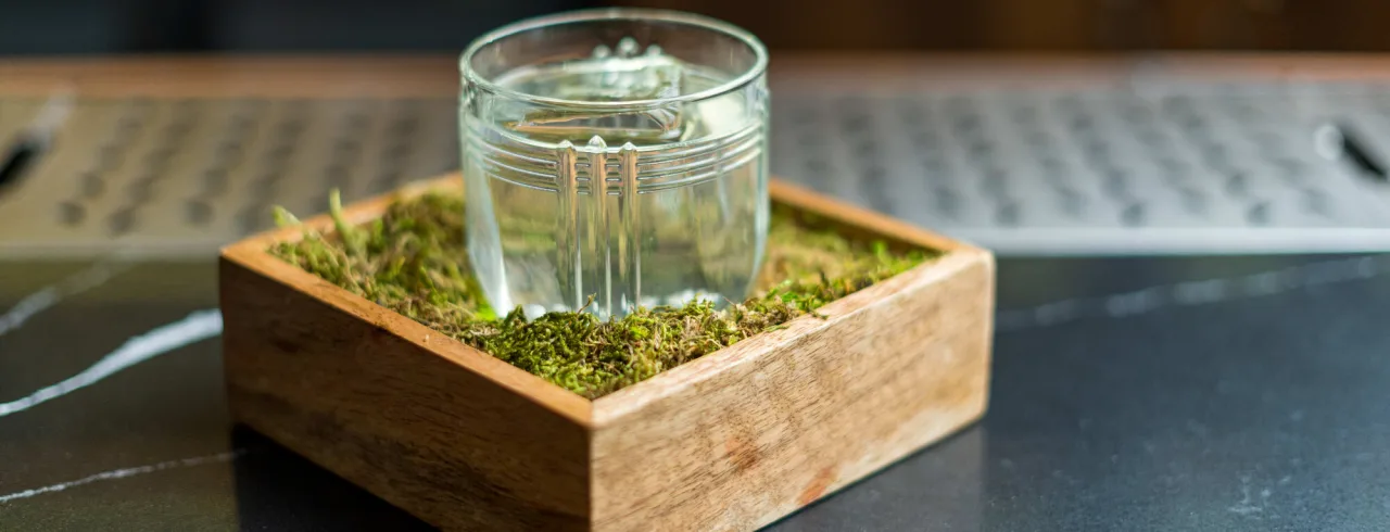 Drink presented in a bowl of moss at bar Pier 42 in Oslo.