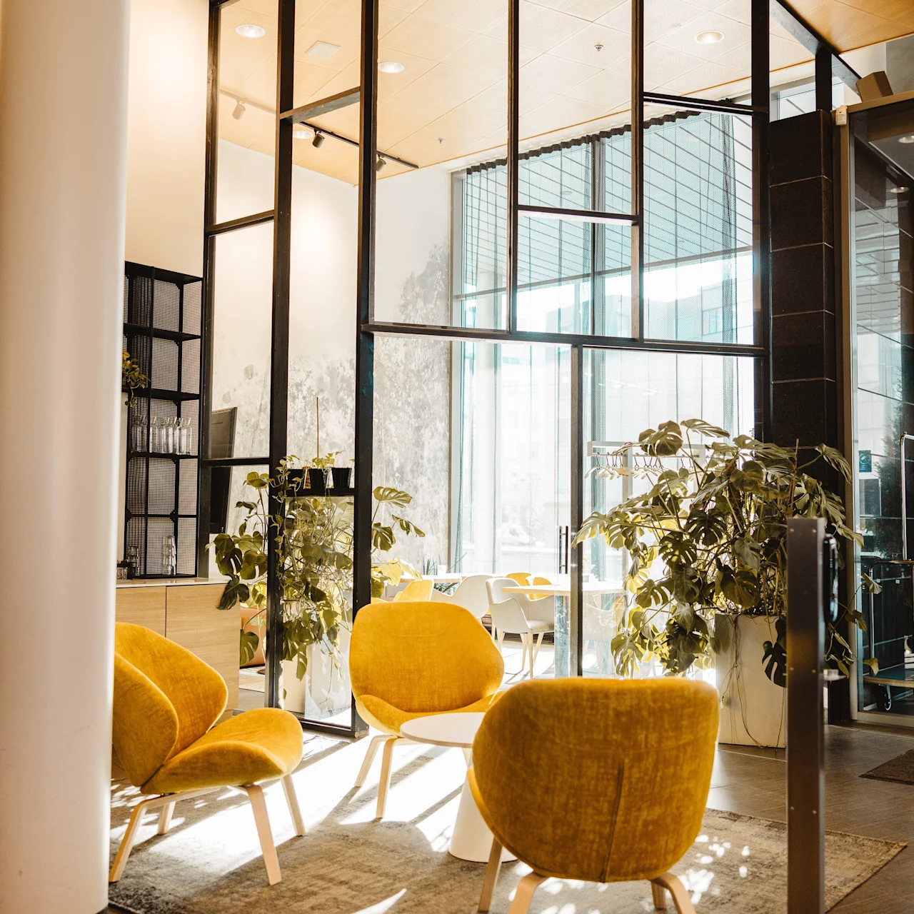 Chairs åkte plats in a bright office lobby, feature yellow upholstery and wooden legs. Surrounding them, large potted plants absorb natural light through expansive glass panels.