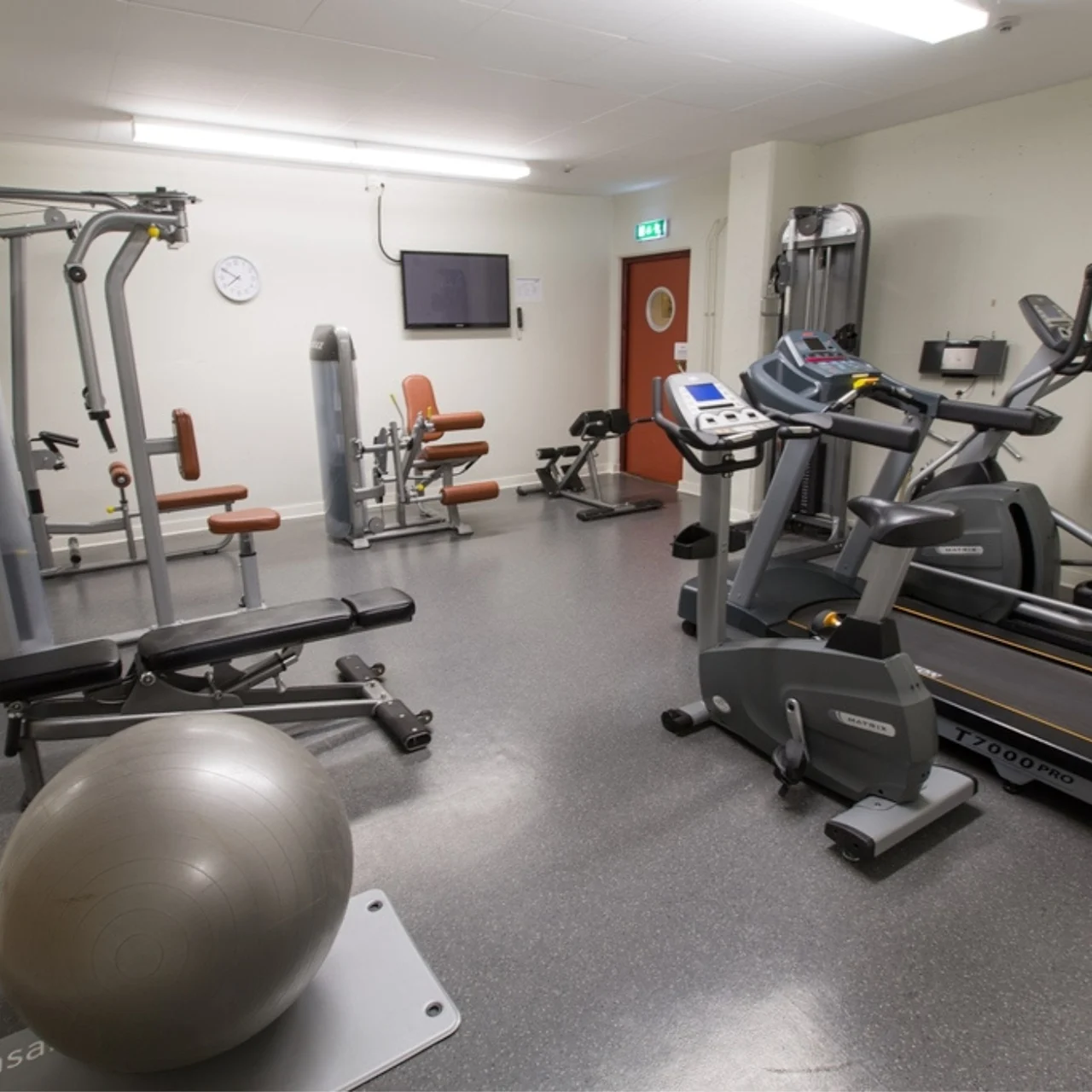 Treadmills and exercise machines are arranged in a small, clean gym with a gray floor. A stability ball is in the foreground.