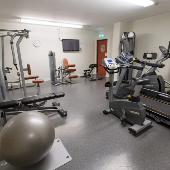 Löpband och träningsmaskiner är ordnade i ett litet, rent gym med grått golv. En stabilitetsboll är i förgrunden.