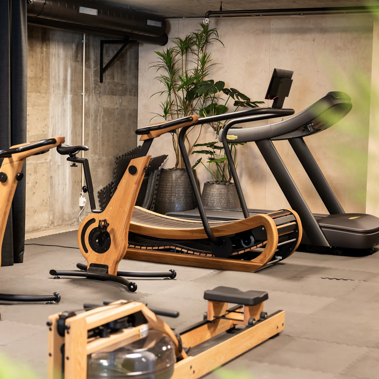 Træningsudstyr er opstillet i et moderne fitnesscenter, med stationære cykler af træ, en elegant løbebånd og en romaskine. Potteplanter pynter betonvæggene.